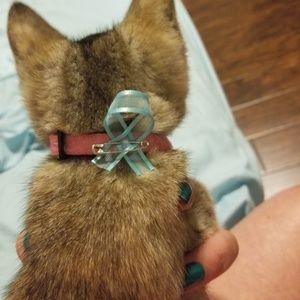 Meet your Posher, Amanda